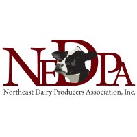 Northeast Dairy Producers Association logo - Similar company to Northeast Dairy Foods & Suppliers Associations