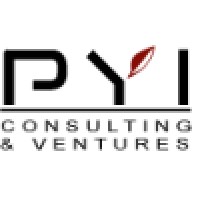 Pyi Ltd.