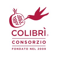 Consorzio Ospedaliero Colibrì logo - Similar company to Ecofuturo