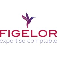 FIGELOR logo - Similar company to Tc Expertise