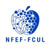 NFEF-FCUL logo - Similar company to Physis - Associação Portuguesa De Estudantes De Física