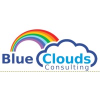 Blue Clouds Consulting logo - Similar company to Delve Collective