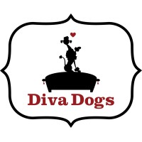 Diva Dogs logo - Similar company to Tommy Bonedigger + Co.