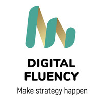 Digital Fluency logo - Similar company to Sun & Sky Coaching