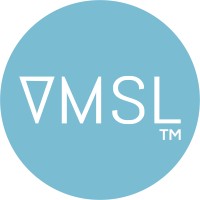 Virtual Market Solution Limited-VMSL logo - Similar company to Deshi System Limited