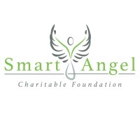 Smart Angel logo - Similar company to Smartsolutions