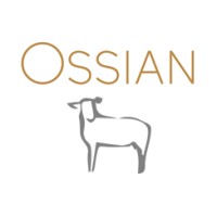 Ossian Knitwear logo - Similar company to Navinay Export
