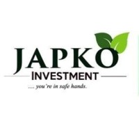 Japko Investment Limited logo - Similar company to Foremost Development Services Limited