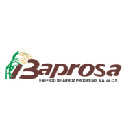 BAPROSA logo - Similar company to Lynx Global Solutions