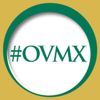Instituto Ortega Vasconcelos de México logo - Similar company to Castway Cdn