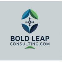 Bold Leap Consulting.com logo - Similar company to Optivibe Analytics Source