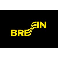 BREIN logo - Similar company to Breit (Advanced Program In Data Science & Global Skills)