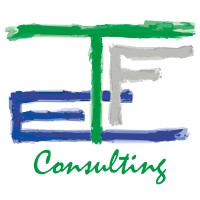 TFE Consulting Srl logo - Similar company to Labkey.Io