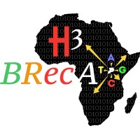 BRecA logo - Similar company to The It Talent