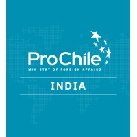 ProChile India logo - Similar company to Prochile Uk