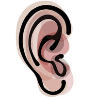 Bovaird Hearing Clinic Inc. logo - Similar company to The Association Of Hearing Instrument Practitioners Of Ontario