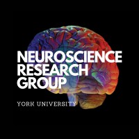 Neuroscience Research Group At York University logo - Similar company to Artificial Intelligence In Healthcare Society