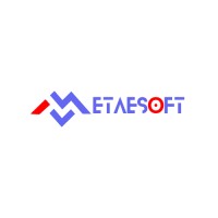 Metaesoft logo - Similar company to Codemetrix