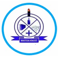 MATESA-KNUST logo - Similar company to Dreamosoft