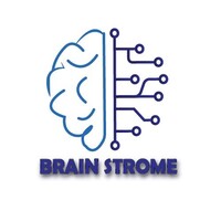 Brainstrome Software Development Company logo - Similar company to Shubbak Technologies - Software Development Company - Dubai | Kuwait