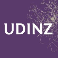 Urban Development Institute of New Zealand UDINZ logo - Similar company to Aut School Of Future Environments