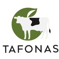 Tafonas logo - Similar company to Prosumio Learning