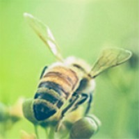 inform.werbeagentur logo - Similar company to Envibe Gmbh