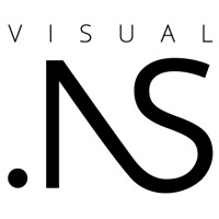 VisualNS logo - Similar company to Colorflex
