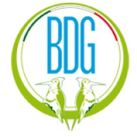 BDG Accessories logo - Similar company to Verseven