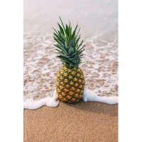 Pineapple Travel Agency logo - Similar company to Alrayah Tourism