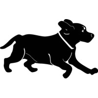 Black Dog Studio, LLC logo - Similar company to Beach Communications