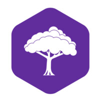 PurpleTree Media logo - Similar company to Purpletree Software Llp