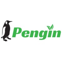 Pengin Oy logo - Similar company to Hack Kempen