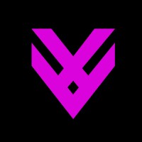 VectorX logo - Similar company to Vectorx