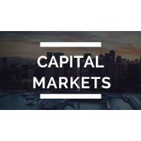 Capital Markets Career Search logo - Similar company to Trading Bulls Inc.