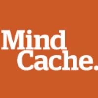 MindCache logo - Similar company to Eflux
