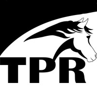 Thoroughbred Placement Resources, Inc logo - Similar company to Elipsum