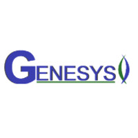 Genesys logo - Similar company to Jmad'Solutions