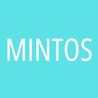 Mintos Consulting logo - Similar company to Gracelandic