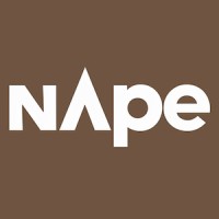 nApe.ai logo - Similar company to Infinity Void