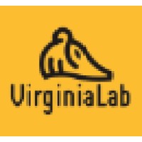 Virginia Lab S.R.L.