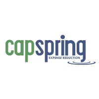 Capspring logo - Similar company to Pyramid Pest Control, Llc