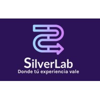 Silver Lab logo - Similar company to Silverlabs