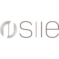 SIIE - Consultancy and BPO services for PV industry logo - Similar company to Kapture.Io