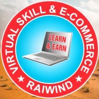 Virtual Skills & Ecommerce logo - Similar company to Amazon Ocean