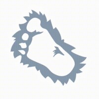 BigBalli Consulting logo - Similar company to Conversion Crimes