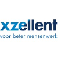 Xzellent logo - Similar company to Securaplus