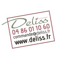 Deliss Aix logo - Similar company to Mezzencore