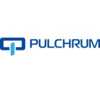 Pulchrum logo - Similar company to Transban