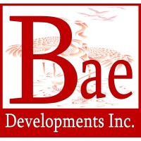 Bae Developments Inc logo - Similar company to Digital Banking At Its Best